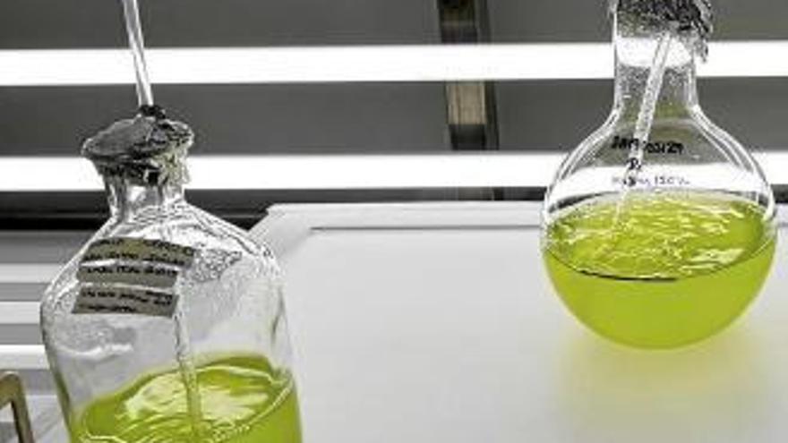 Neiker trabaja en un fertilizante para avanzar hacia una agricultura más sostenible
