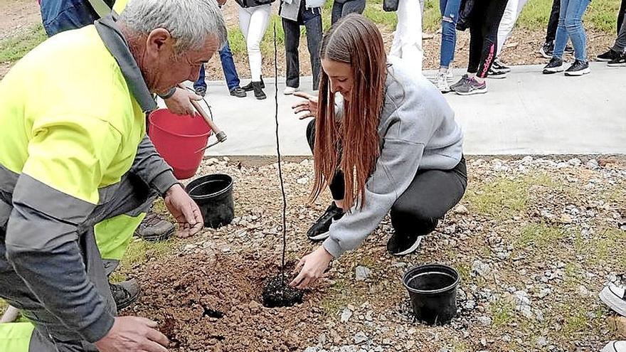 Lezoko Institutuko ikasleek Altamira parkean zuhaitzak landatu dituzte